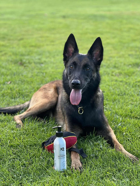 K9 Næringarolía
